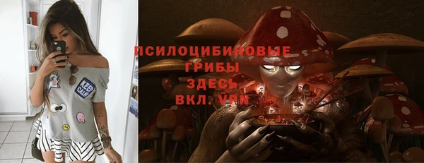 амфетамин Елизово