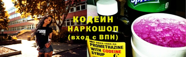 индика Заволжье
