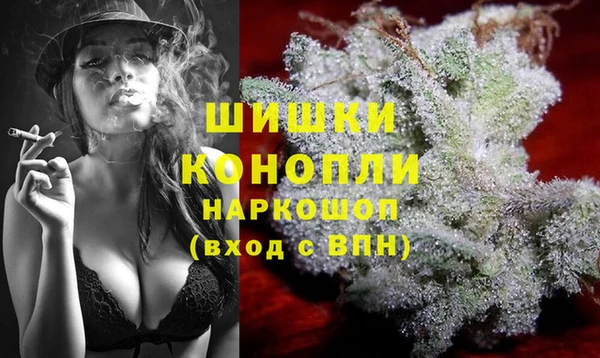 индика Заволжье