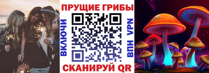 Галлюциногенные грибы MAGIC MUSHROOMS  Ефремов 