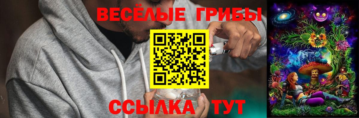 Псилоцибиновые грибы Psilocybe  Галлюциногенные грибы мухоморы  Вход с VPN  Ефремов 